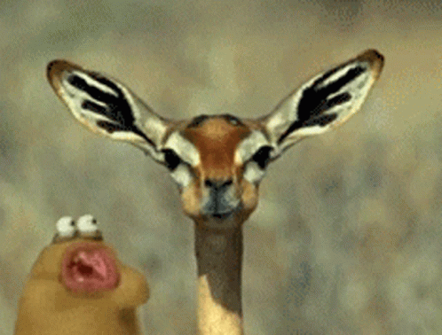 Chewing Deer GIF - Chewing Deer Slug GIFs