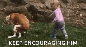 a little girl is playing with a dog in a field and encouraging him .