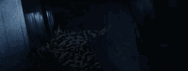 a man in a camouflage jacket is walking through a dark room .