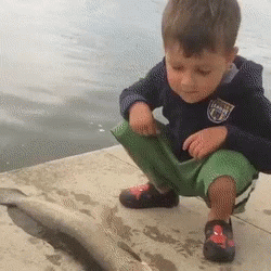 Fish Smack GIF - Fish Smack Wasted GIFs