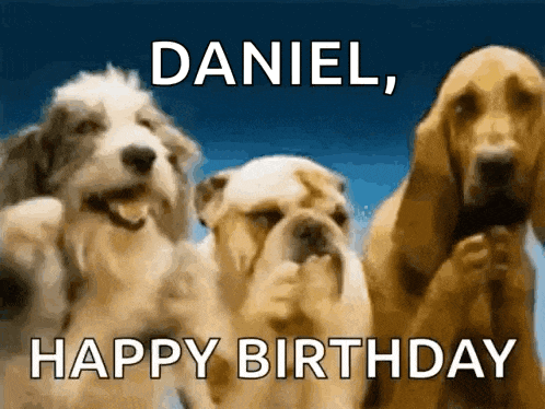 three dogs are standing next to each other with the words daniel , happy birthday written on the bottom