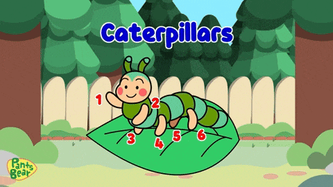 a caterpillar is sitting on a leaf with the words caterpillars above it