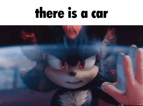 a picture of shadow the hedgehog with the words there is a car above him