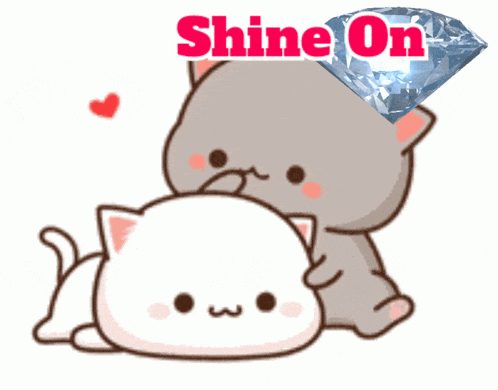 a picture of two cats with the words shine on written above them