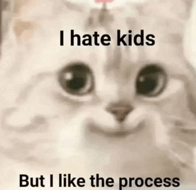 a close up of a cat 's face with the words `` i hate kids but i like the process '' written on it .