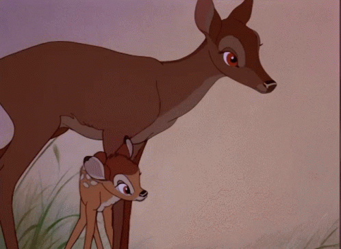 Bambi Mother GIF - Bambi Mother GIFs