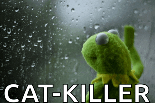 a kermit the frog looking out a window with the words cat-killer written below him