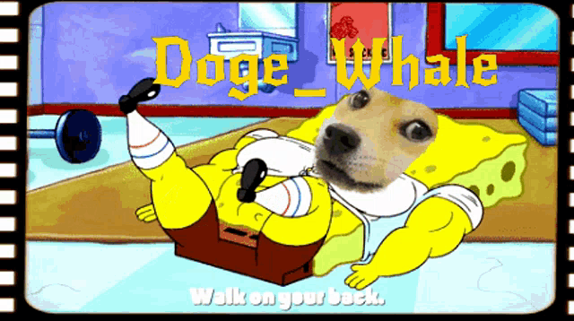a cartoon of spongebob with the words doge whale walk on your back below him