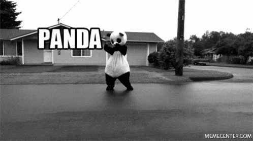 Panda Panda Panda GIF - Panda Panda Panda Dance GIFs