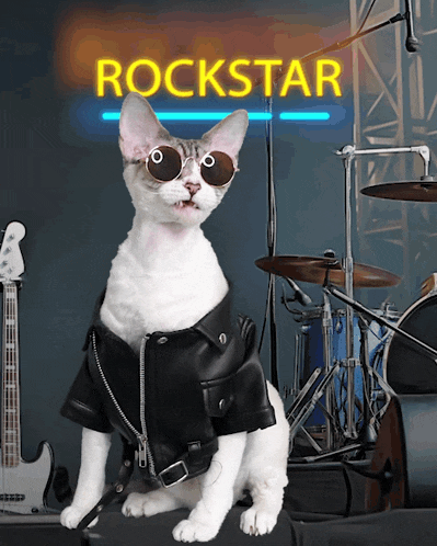 a cat wearing sunglasses and a leather jacket is standing in front of a neon sign that says rockstar