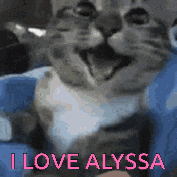 a picture of a cat with the words " i love alyssa " on the bottom