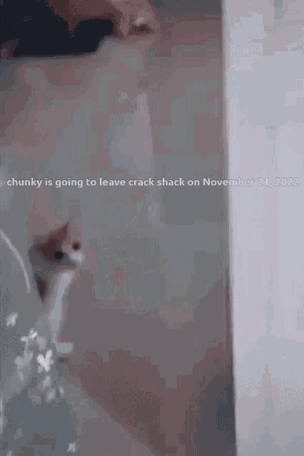 a screenshot of a video says chunky is going to leave crack shack on november 21st 2022