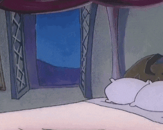 a cartoon drawing of a bedroom with a canopy over the bed