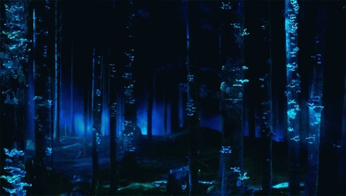 The100 Forest GIF - The100 Forest Glow GIFs