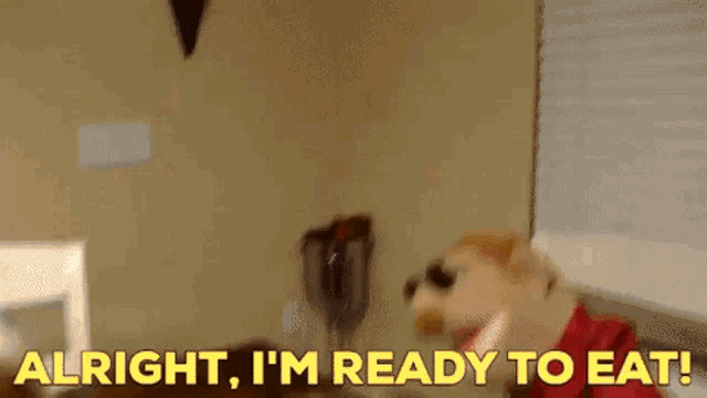 a dog wearing sunglasses and a red shirt is saying `` alright , i 'm ready to eat '' .