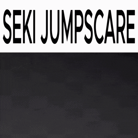 a picture of a boy with glasses and the words seki jumpscare behind him