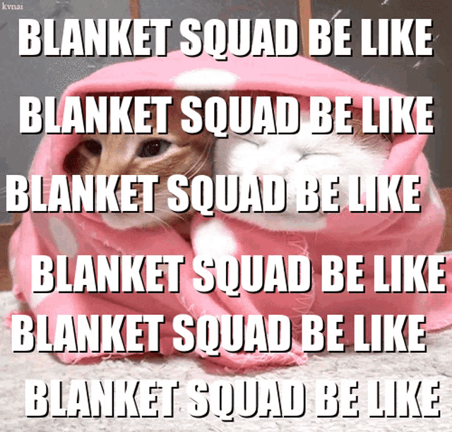 two cats wrapped in a pink blanket that says blanket squad be like blanket squad be like blanket squad be like