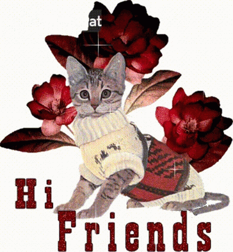 नमस्तेमित्रों बिल्ली GIF - नमस्तेमित्रों बिल्ली लालफूल GIFs