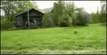 Ollie Mowing GIF