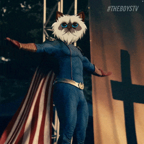 a cat in a superhero costume is standing in front of a banner that says theboystv