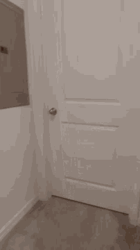 a teddy bear is standing in front of a door