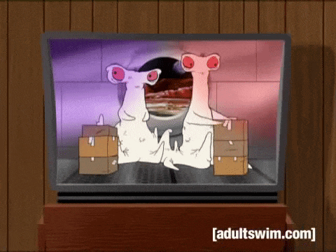a tv screen shows two cartoon characters sitting next to each other with the words adultswim.com on the bottom