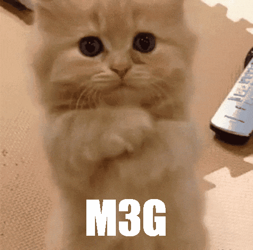 a cat with the word m3g written on its face