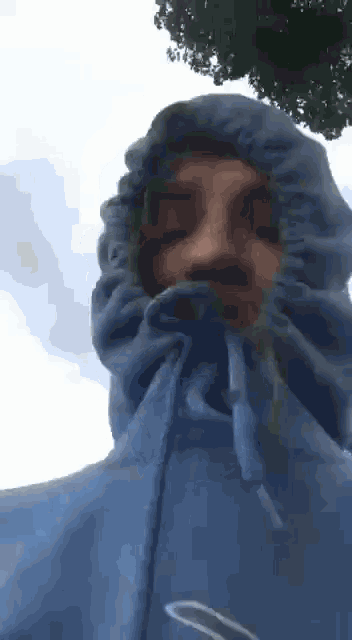 a man wearing a blue hoodie with a hood is standing in front of a tree .