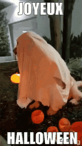 a picture of a dog dressed as a ghost with joyeux halloween written on it