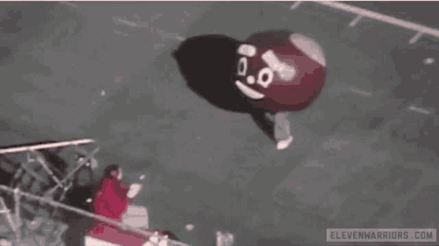Ohio State Buckeyes Go Bucks GIF