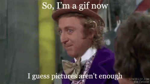 Willy Wonka I Guess Pictures Arent Enough GIF - Willy Wonka I Guess Pictures Arent Enough GIFs