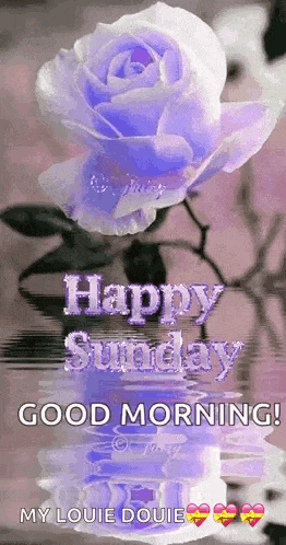 a purple rose in a vase with the words `` happy sunday good morning '' written on it .