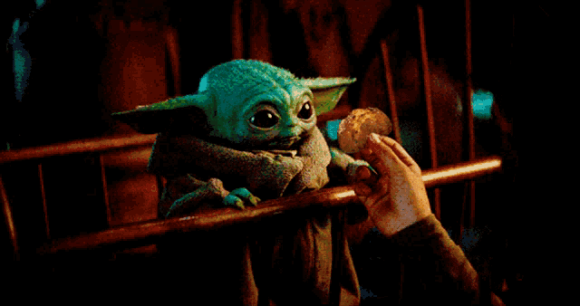 a person is feeding a baby yoda cookie