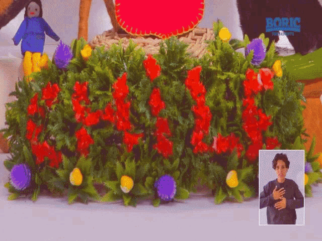 a man stands in front of a display of flowers with the word boric in the corner