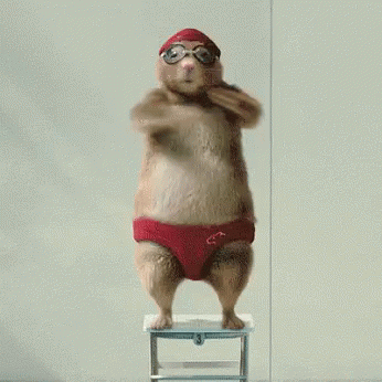 Dance Funny GIF - Dance Funny Hamster GIFs
