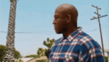 a man in a plaid shirt is standing in front of a palm tree and a power line .