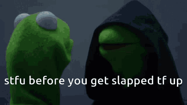 kermit the frog is standing next to a person in a black hooded hooded jacket