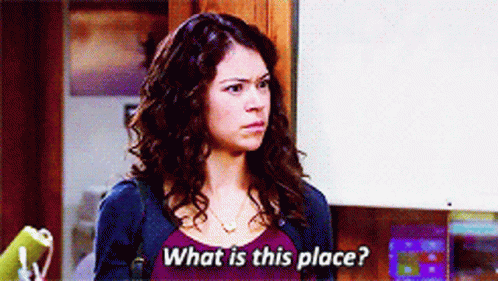 Parks And Rec Nadia Stasky GIF - Parks And Rec Nadia Stasky What Is This Place GIFs