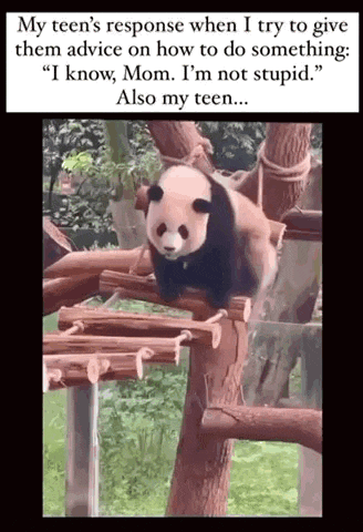 a panda bear is sitting on a tree branch with a caption that says my teen 's response