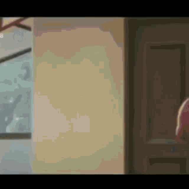 a person is standing in a room next to a door and a window .