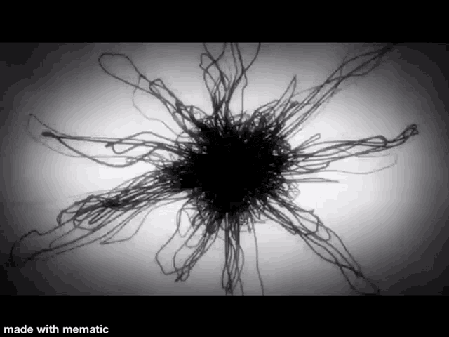 a black and white drawing of a flower with the words made with mematic at the bottom