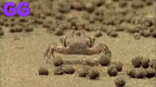Crabs Stretching GIF - Crabs Stretching Exercise GIFs