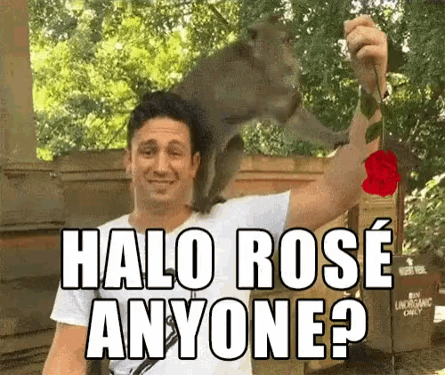 a man is holding a rose in his hand while a monkey is sitting on his shoulder .
