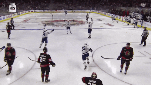 a hockey game is being played with the sn logo on the ice