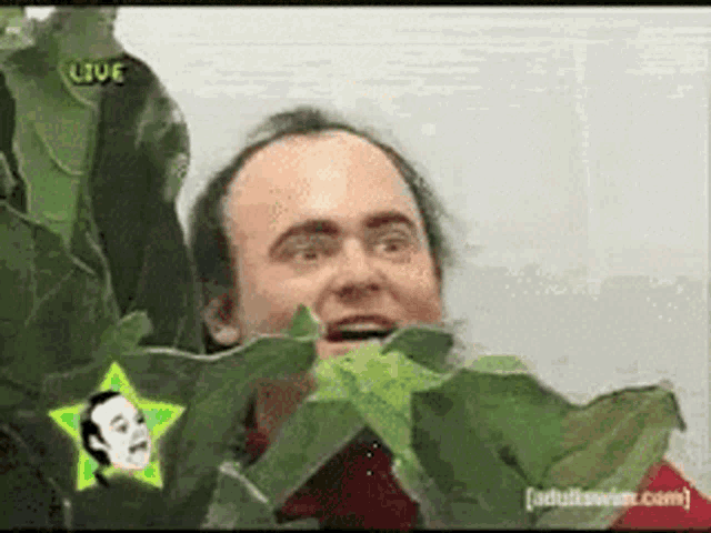 a man is standing in front of a plant with a star on the bottom right corner .