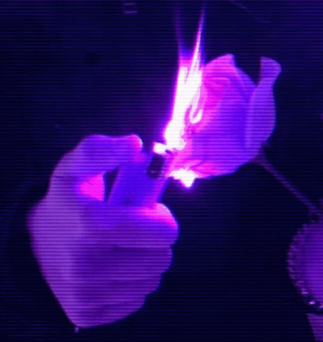 The Rose Love GIF - The Rose Love Burning Love GIFs