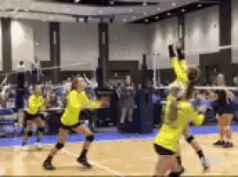 a group of girls are playing volleyball in a gym ..