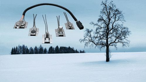 a snowy field with a tree in the background