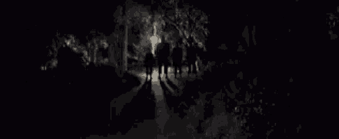a group of people are walking down a path at night in a dark forest .