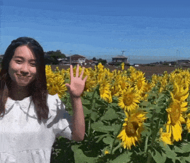 a woman stands in front of a field of sunflowers waving